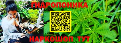 мяу мяу мука Балаково