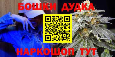прущие грибы Бийск