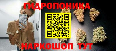 мдпв Берёзовский