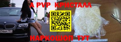 СК Беслан