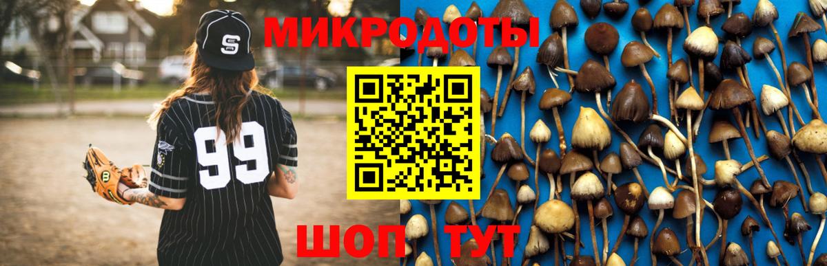 Псилоцибиновые грибы Psilocybine cubensis  Вход с VPN  Боровичи 