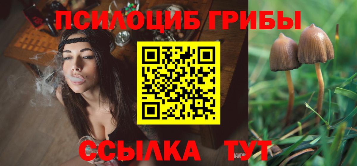 Галлюциногенные грибы Psilocybine cubensis Боровичи