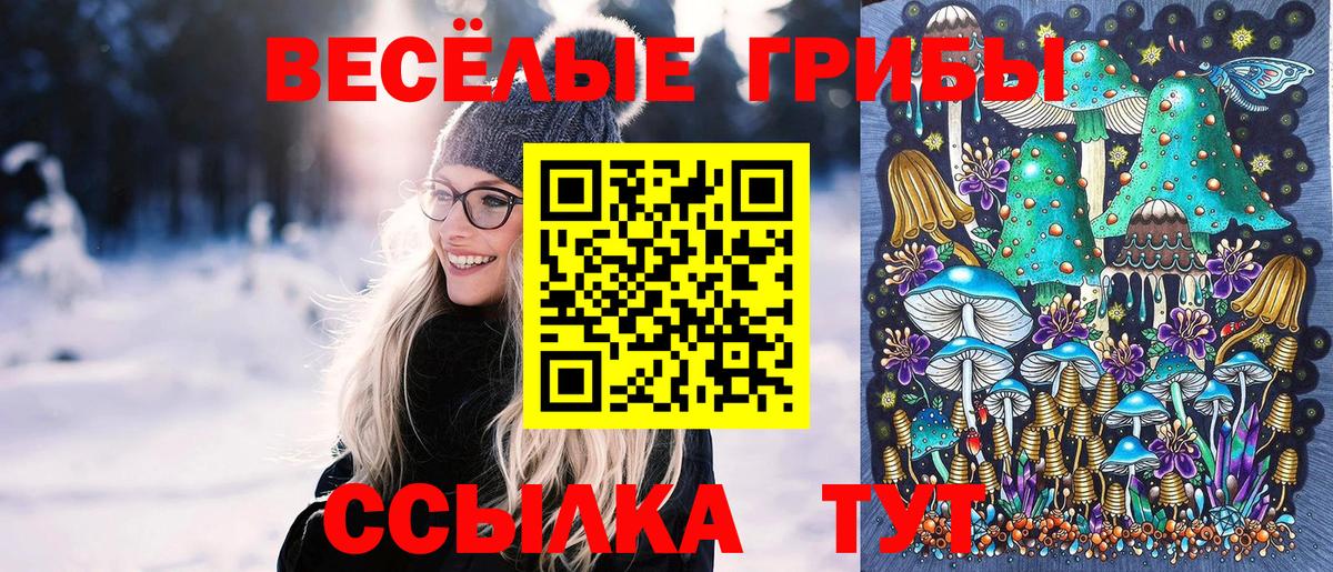 Галлюциногенные грибы Magic Shrooms  Боровичи  Псилоцибиновые грибы Psilocybine cubensis 